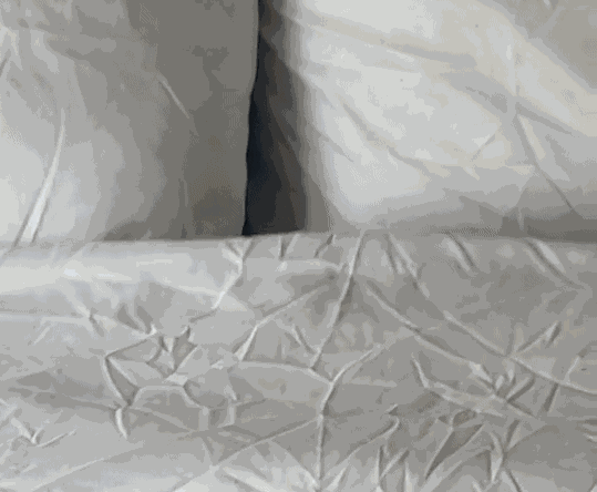 GIF animé