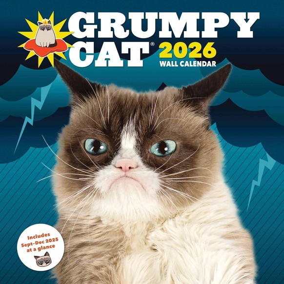 Grumpy Cat 2026 Calendar 
https://www.calendarclub.co.uk/grumpy-cat-calendar-2026-326799/