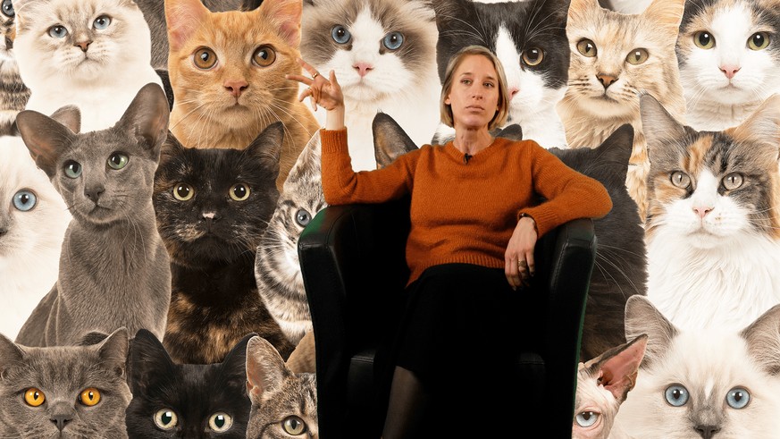 «Je hais les chats... et les gens qui ont des chats»