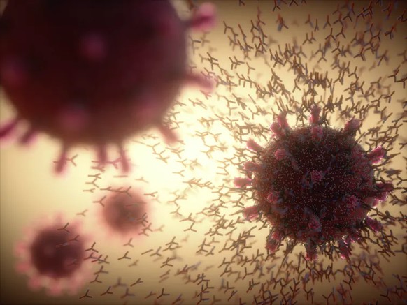 Notre système immunitaire génère des anticorps (Y) capables de reconnaître tout virus auquel il a déjà été confronté.