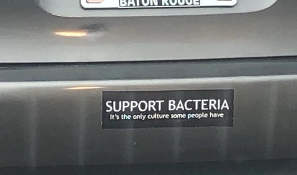 Okay bei diesen Autoaufklebern mussten wir lachen. 
https://chameleonmemes.com/wp-content/uploads/2025/01/Dont-mind-if-I-do.webp