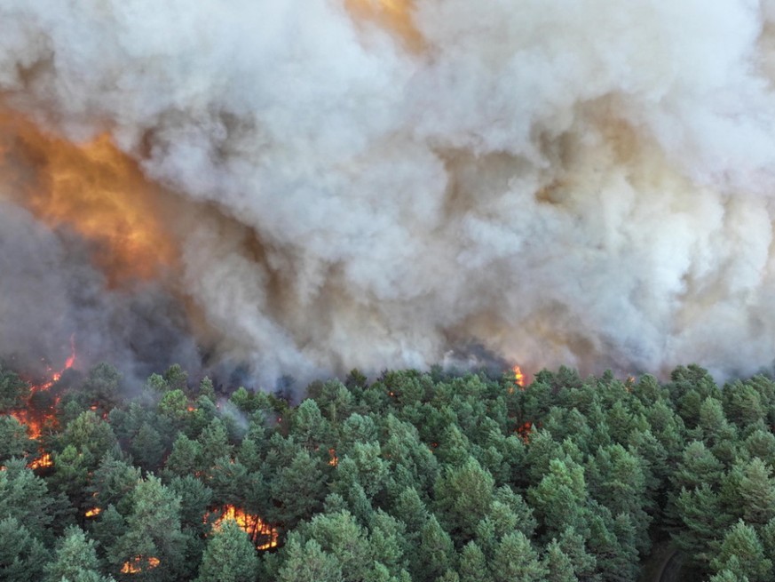 La forêt de Fontainebleau, au sud de Paris, était en proie lundi à un incendie hors norme.