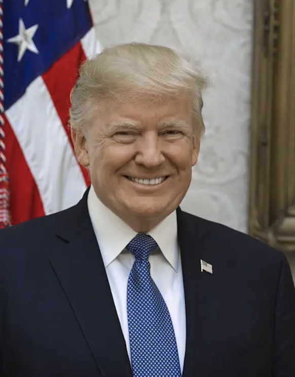 Le portrait présidentiel de Trump, en 2017.