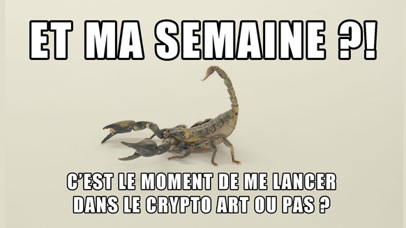 Scorpion, Crypto Art,