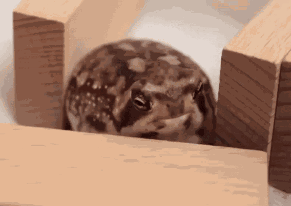 GIF animé