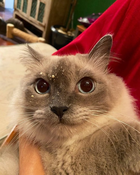Surprise