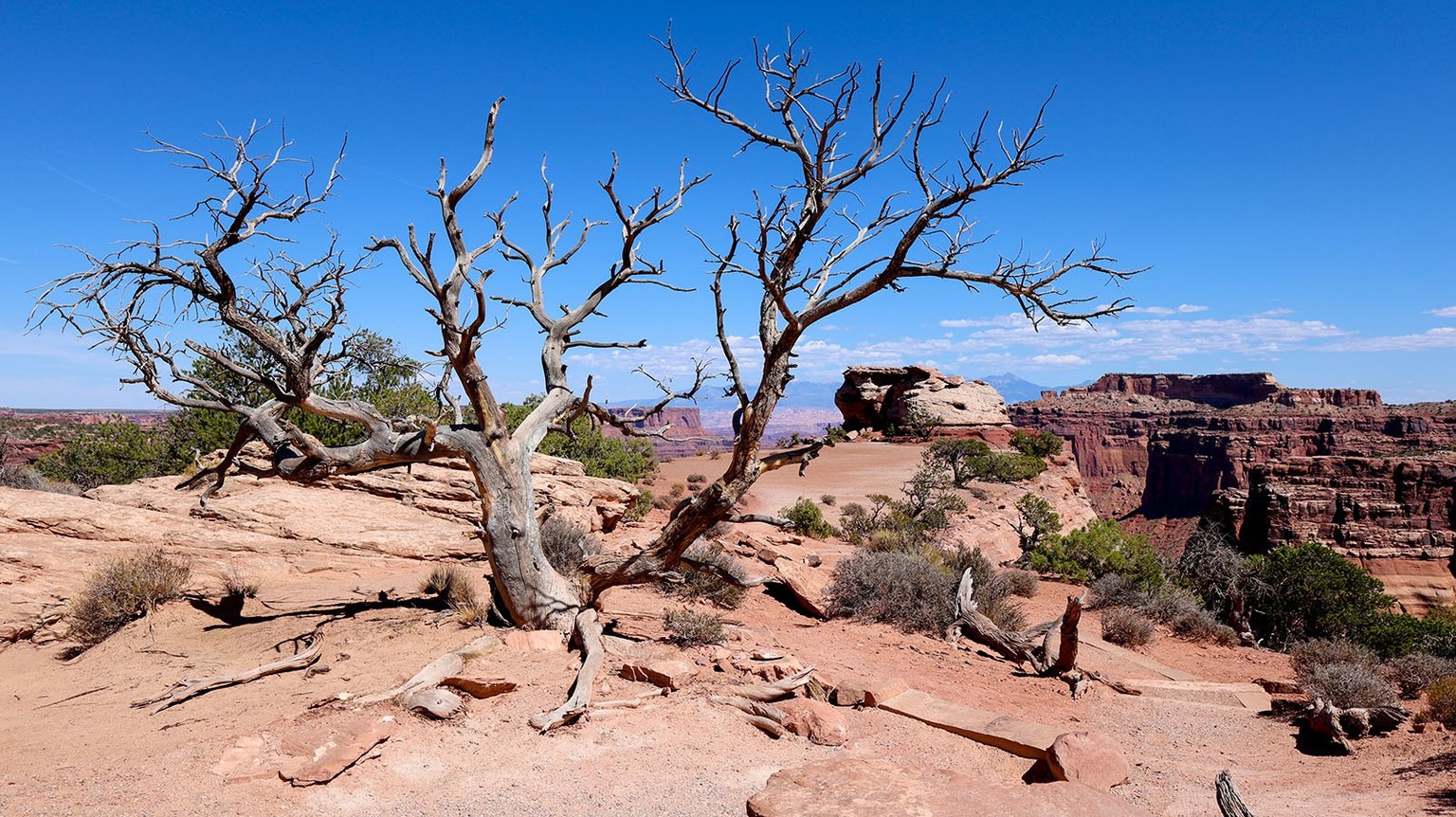 Shawn Vales USA: Bilder nur in Absprache mit Toggi verwenden.