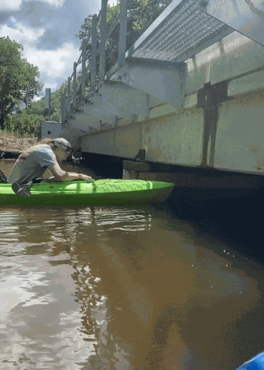 GIF animé