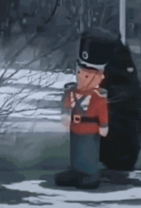 GIF animé