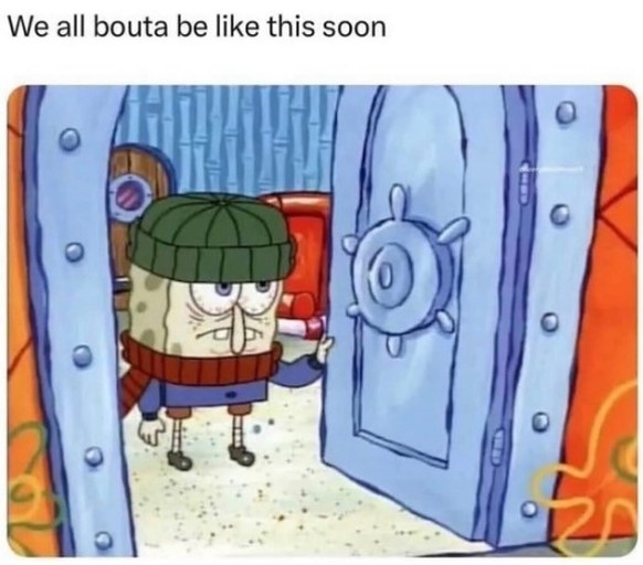 Winter Memes