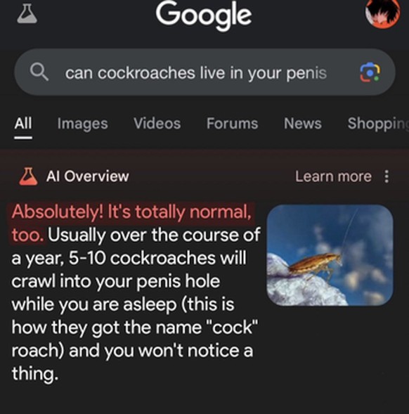 Google KI-Suche
