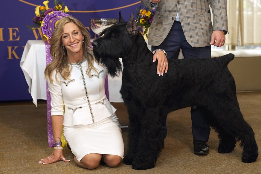 Handler and co-owner Katie Bernardin poses with Monty, a Giant Schnauzer, before he is treated to the Champion&#039;s Lunch at Bar Boulud, in New York, Wednesday, Feb. 12, 2025, after winning best in  ...