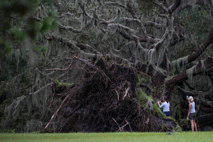 Women look at an uprooted tree the morning after Hurricane Milton hit the region, Thursday, Oct. 10, 2024, in Odessa, Fla. (AP Photo/Julio Cortez)