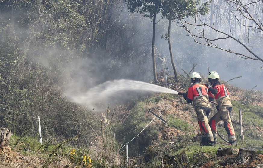epa10552260 Firefighters try to extinguish a forest fire burning on Naranco hill in Oviedo, Asturias, Spain, 31 March 2023. The region of Asturias fights a total of 116 forest fires, situation that ha ...