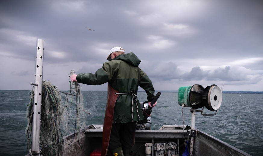 Felchensterben im Bodensee. Eine Reportage mit Berufsfischer Gallus Baumgartner, 31. August 2023