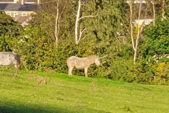 Foto Täuschung