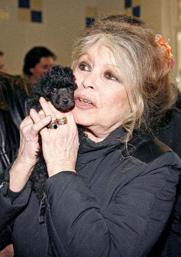 Brigitte Bardot s Extraordinary Life: Husbands, Lovers And Suicide Attempts File : French movie legend Brigitte Bardot, now a fierce defender of animals, visits an animal protection center in Nice, so ...
