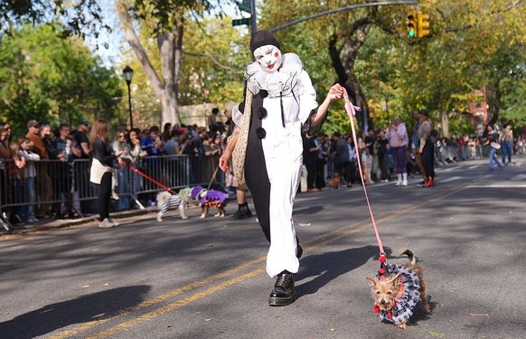 NEW YORK, UNITED STATES - OCTOBER 19: Dog owners in New York City are participating in the Tompkins Square Halloween Dog Parade, dressing their furry friends in colorful costumes on Sunday, October 19 ...