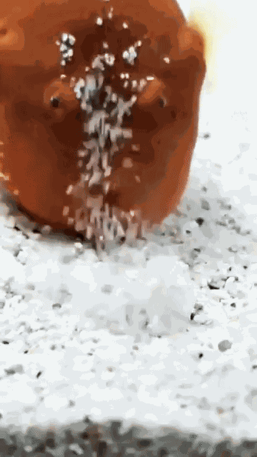 GIF animé