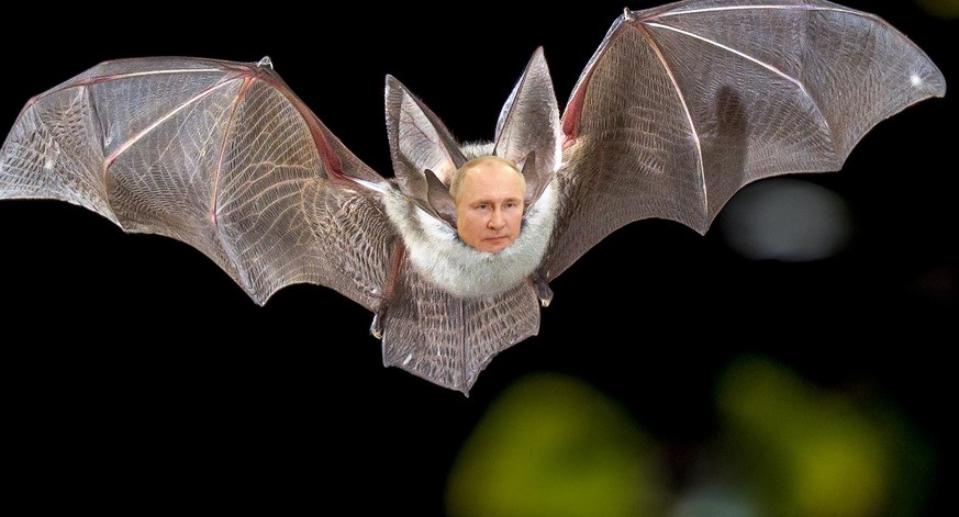 Khosta-2, ce nouveau coronavirus propagé par une chauve-souris russe