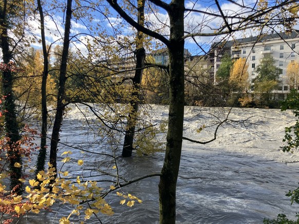 Arve, Genève, 15 novembre 2023.