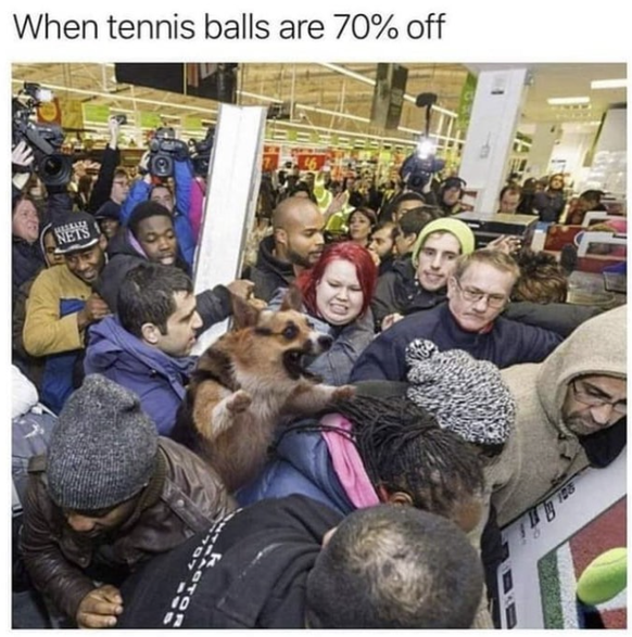 Black Friday Memes