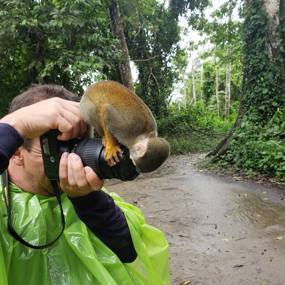 cute news tier affe

https://x.com/land_las/status/1350913469529403394