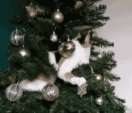 GIF animé