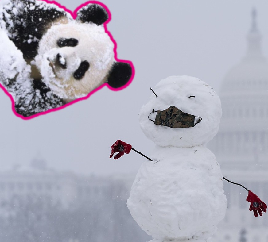 La neige avale les Etats-Unis et les pandas s'éclatent