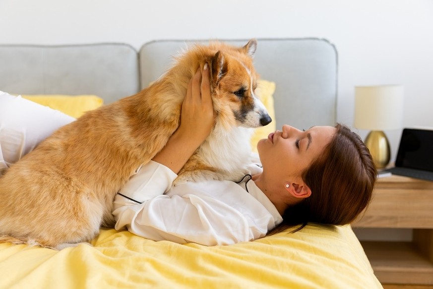 Faire des bisous à son chien peut comporter des risques.