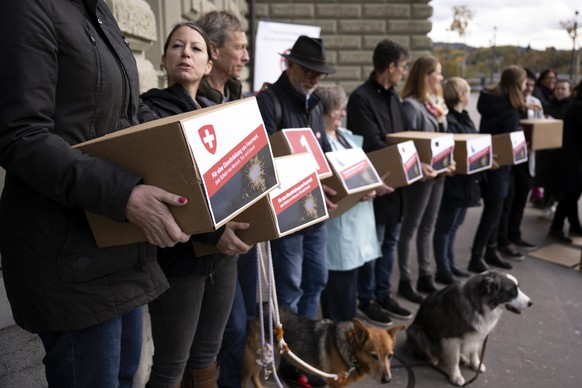 Mitglieder des Komitees und Unterstuetzer reichen die Schachteln mit den gesammelten Unterschriften weiter, bei der Uebergabe fuer die Eidgenoessische Volksinitiative &quot;Fuer eine Einschraenkung vo ...