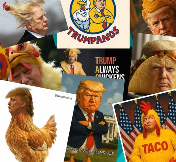 TACO Tuesday?