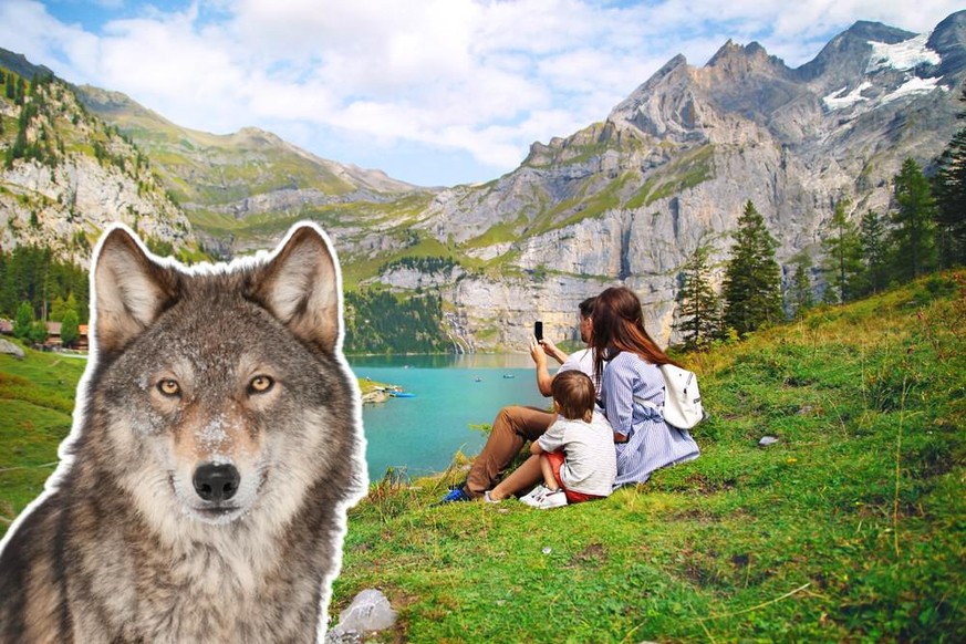 loup Suisse tourisme lac montagne film alpin