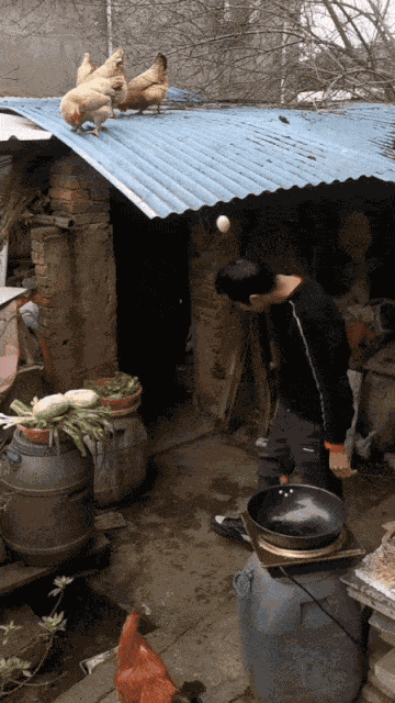 GIF animé