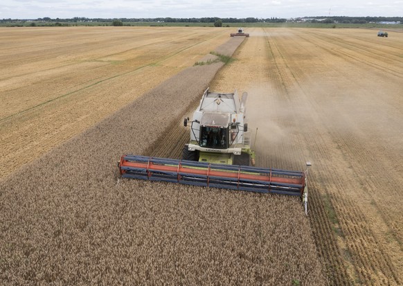 Avant la guerre, l&#039;Ukraine produisait entre 30 et 35 millions de tonnes de blé par an.