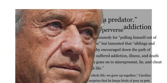 Robert Kennedy Jr, le «prédateur» qui effraie sa propre famille