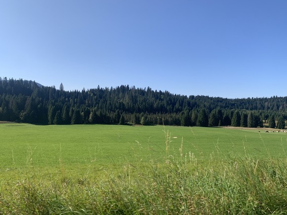 Champs à La Côte-aux-Fées.