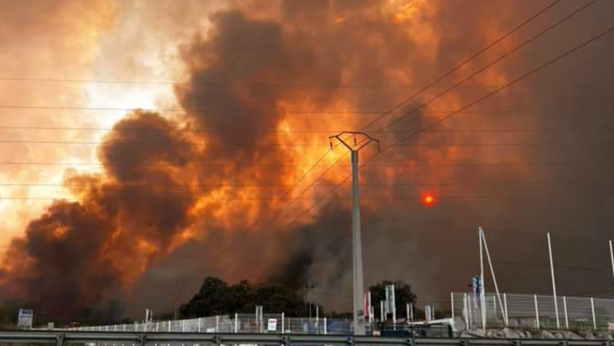 Incendie dans les Pyrénées-Orientales: 3000 campeurs évacués. La situation s'est rapidement envenimée dans le département des Pyrénées-Orientales, dans le sud de la France