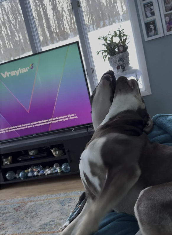 Perspektive: Bilder, die du zweimal anschauen musst