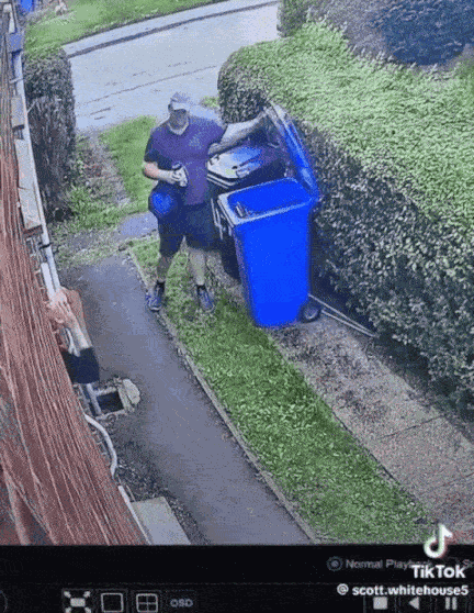 GIF animé