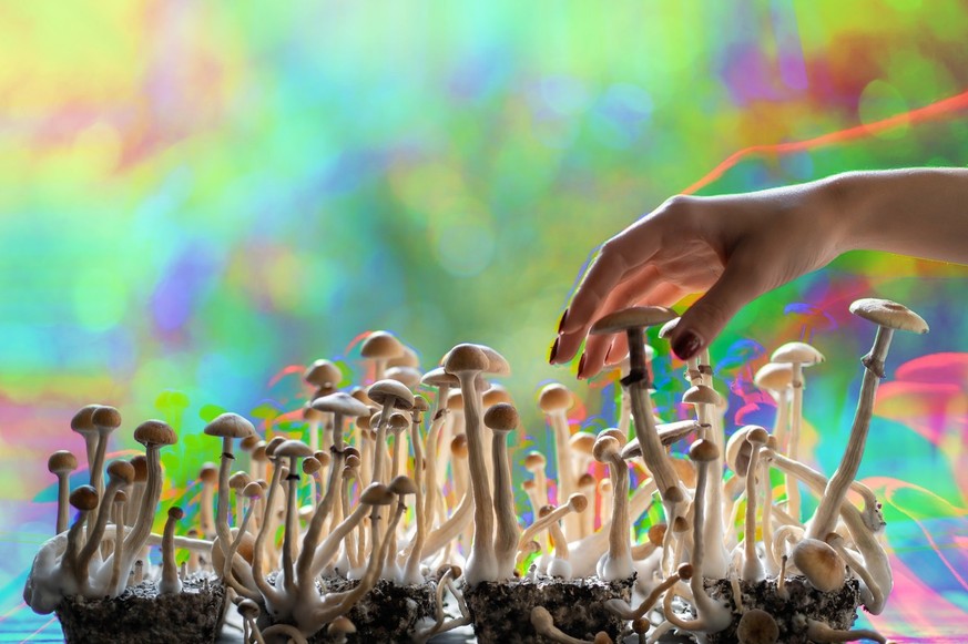 La Suisse permet de traiter des malades avec du LSD ou des champis