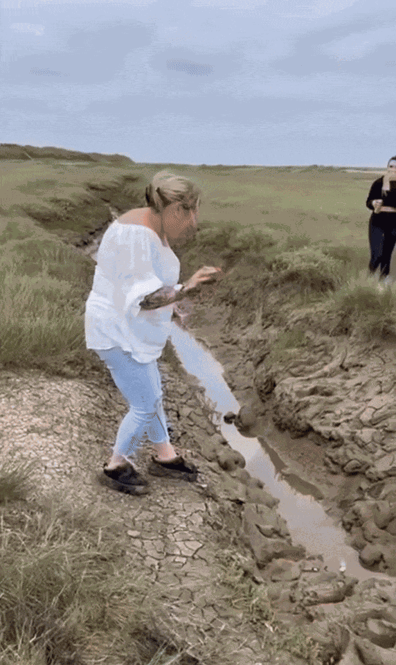 GIF animé