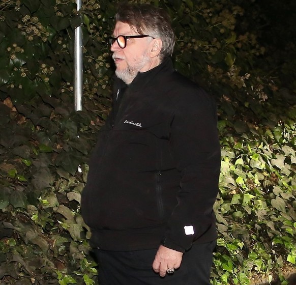 Le réalisateur Guillermo del Toro.