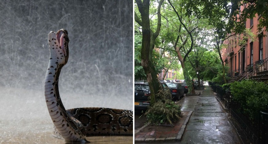 Ça roille, alors voici 19 jolies photos prises sous la pluie