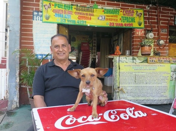 Freddy Heriberto Bautisto dans sa pulqueria avec Chingadera, un nom que l'on pourrait traduire par «petite saleté» ou, plus familièrement, «petite teigne».