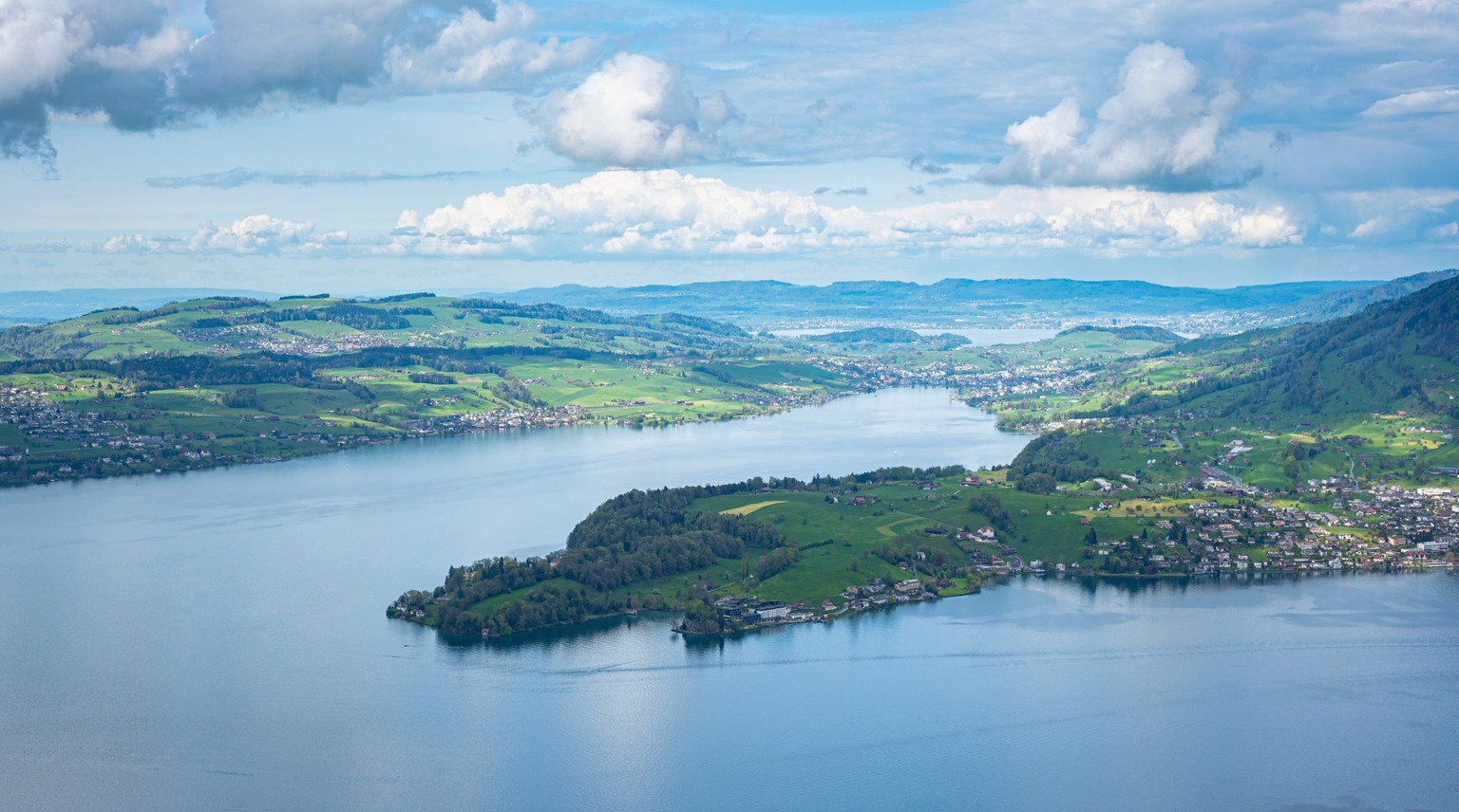 Die Quagga-Muschel wird sich auch im Vierwaldstättersee ausbreiten.