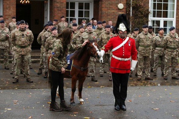 DEREHAM, ENGLAND - NOVEMBER 8: Catherine, Princess of Wales touches a pony as she visits The Queen's Dragoon Guards Regiment for the first time as their Colonel in Chief on November 8, 2023 in De ...