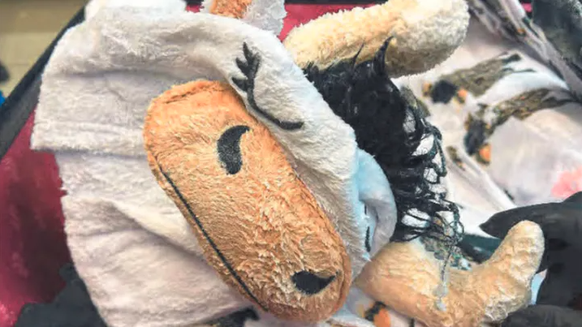 Un homme a tenté de faire passer un un costume de vache entièrement imbibé de méthamphétamine à l'aéroport de Los Angeles.