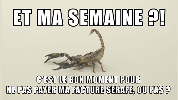 Scorpion, redevance, serafe, poursuites