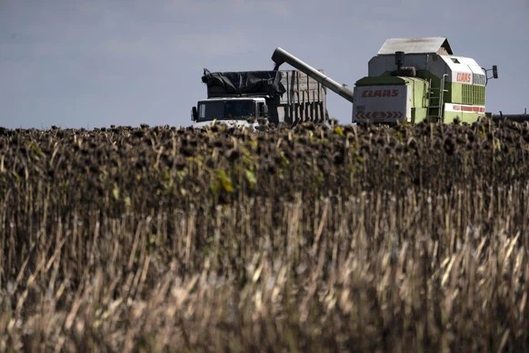 Début septembre : Récolte du tournesol dans l&#039;est de l&#039;Ukraine.